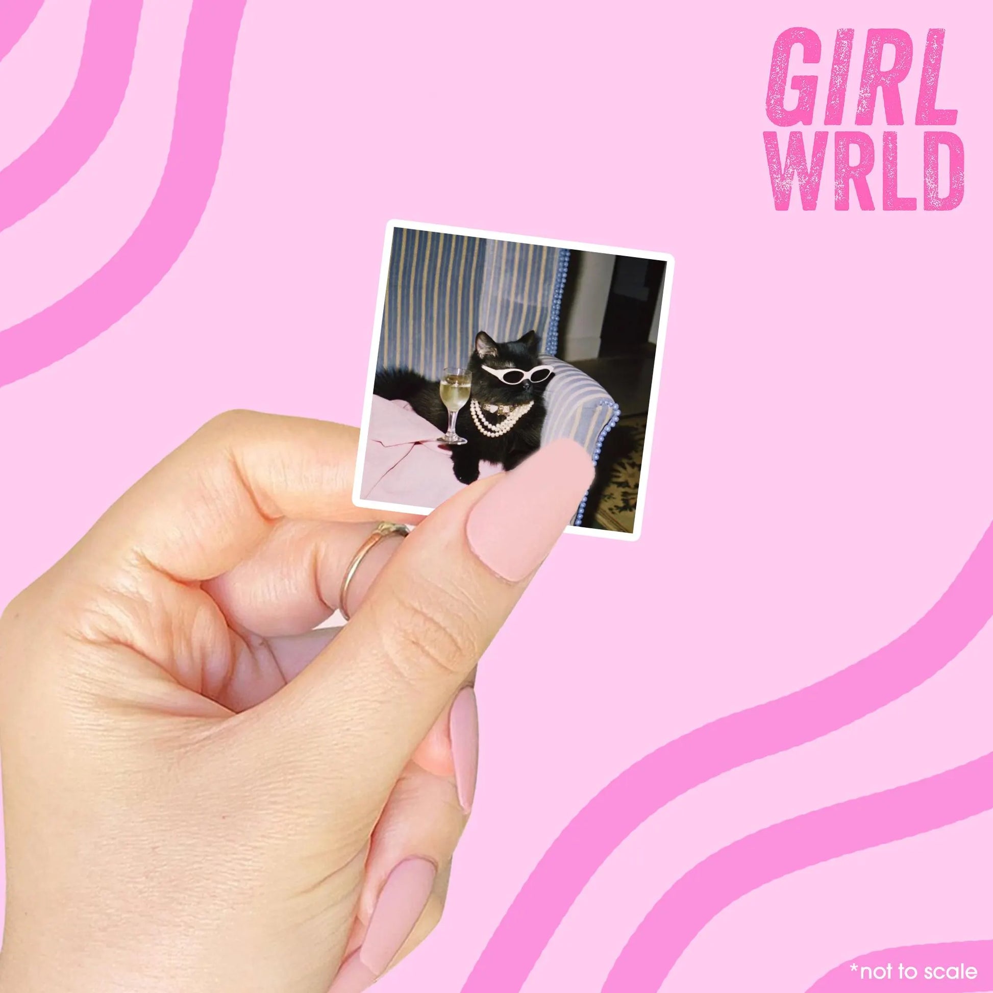 Funny Cat Meme, Y2K E-Reader Sticker, Girly decal, Waterproof, iPad stickers, Kindle Sticker, Girl Accessory, Gift