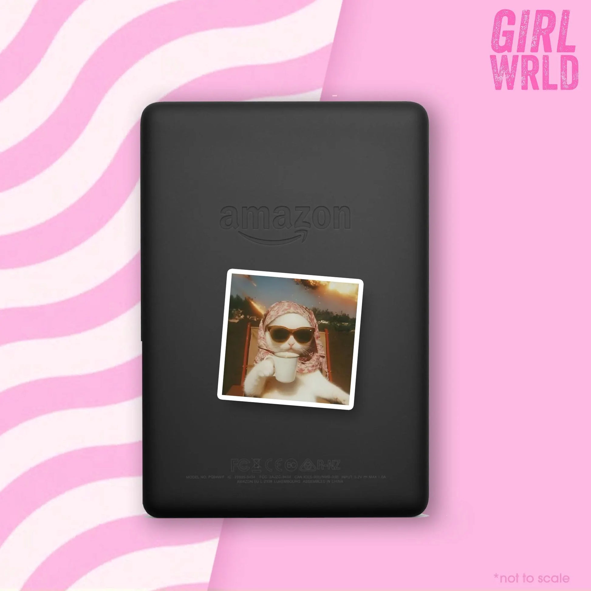 Funny Cat Meme, Y2K E-Reader Sticker, Girly decal, Waterproof, iPad stickers, Kindle Sticker, Girl Accessory, Gift